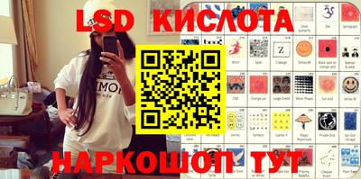 стаф Донской