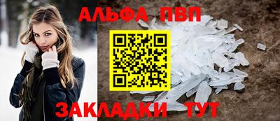 стаф Донской