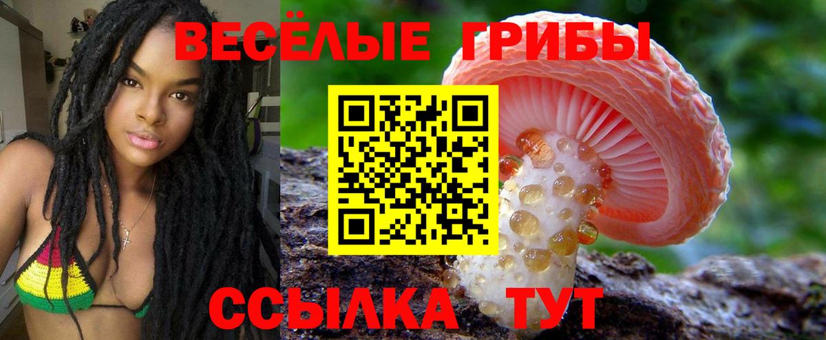 Галлюциногенные грибы MAGIC MUSHROOMS  Вход с VPN  Галлюциногенные грибы прущие грибы  Краснодар 
